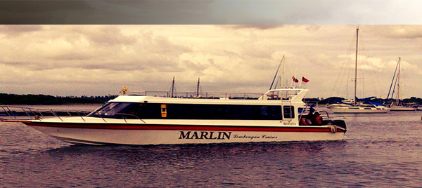 marlin fast boat, marlin fast cruise, lembongan transfer, lembongan fast boat