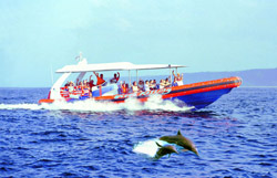 Dolphin Cruise bali hai cruise, bali hai cruise nusa lembongan, bali hai, day cruise, evening cruise