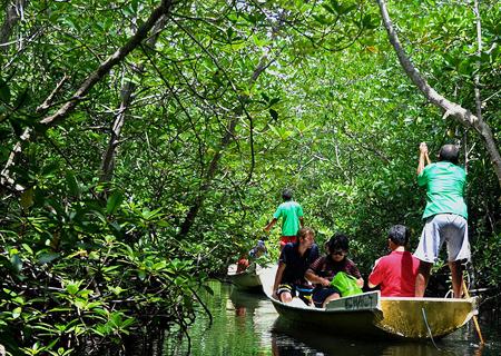 mangrove tour in lembongan island, lembongan fast boat, nusa lembongan, lembongan beach