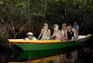 mangrove lembongan, nusa lembongan mangrove, mangrove tour nusa lembongan, lembongan island