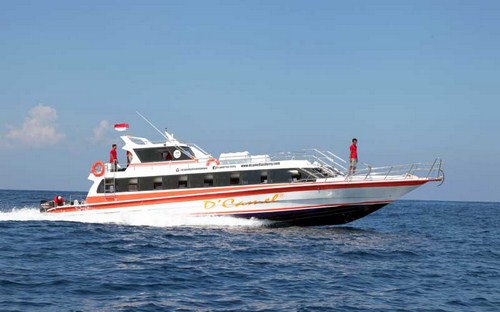 D'Camel Fast Ferry, lembongan fast boat, lembongan transfer