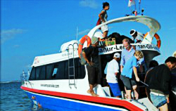 semaya fast cruise, semaya fast boat, lembongan transfer, gili transfer