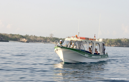 scoot fast cruise, scoot fast boat, lembongan transfer, gili transfer, lembongan fast boat, gili fast boat