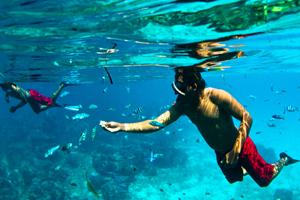 snorkeling nusa lembongan, lembongan island, lembongan fast boat, nusa lembongan, lembongan beach