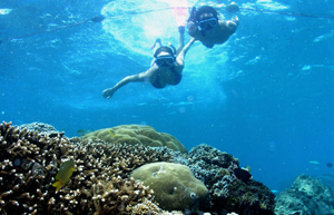 snorkeling in lembongan, lembongan island, lembongan fast boat